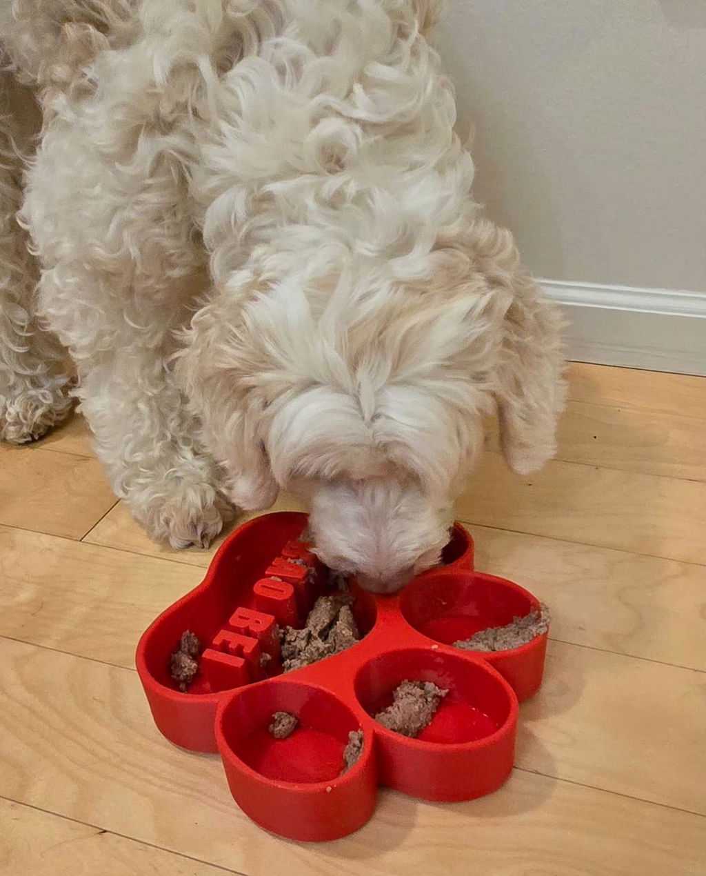 Personalized Dog Slow Feeder Bowl | Paw Design