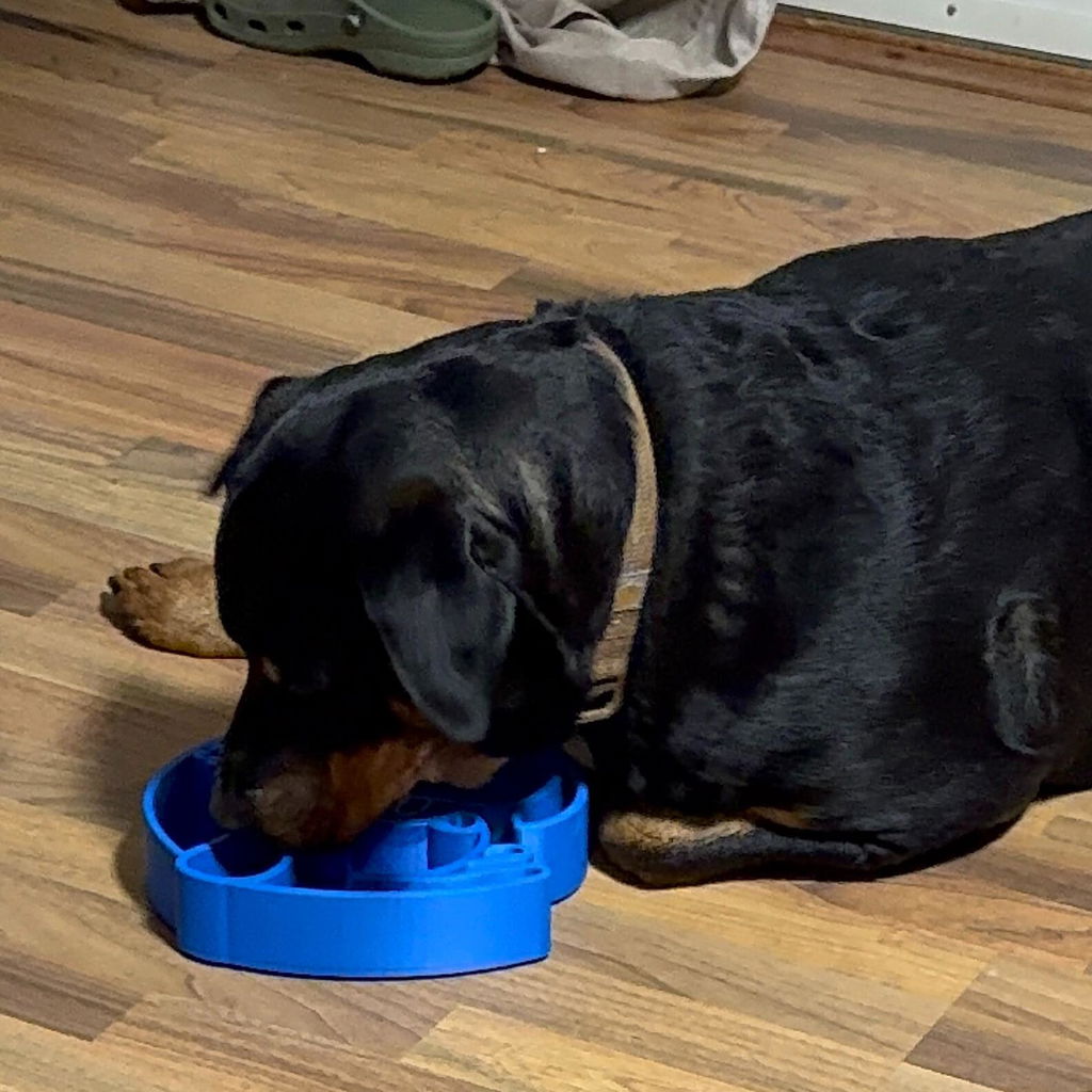 Personalized Pet Puzzle Feeder Bowl | Dog Shaped