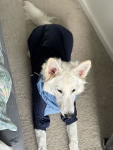 Anonymous review photo