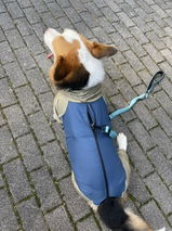 小胖 review photo