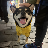 梓** review photo