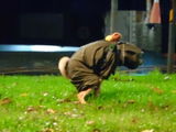 朱*** review photo