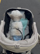 ざわ にし review photo