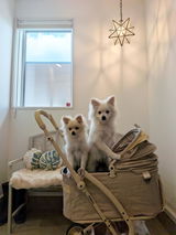匿名 review photo