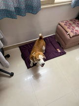 Manoj review photo