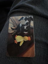 S.N. review photo