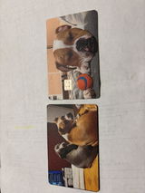 S.B. review photo