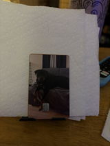 T.F. review photo