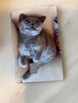 Kartensticker-Foto von A.