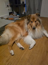 Charles review photo