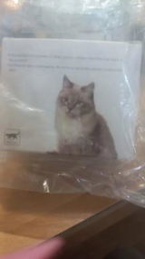 Shopper review photo