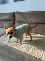 Shopper review photo