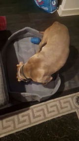 F***l review photo