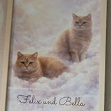 Birgit K. review photo