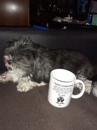 Lieber Hundepapa (oder -mama) - Personalisierte Tasse