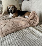 Lotti review photo