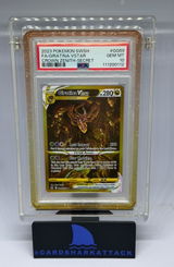 steven m. review photo