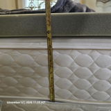 C review photo