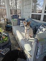 Judy review photo