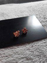 N.Z. review photo