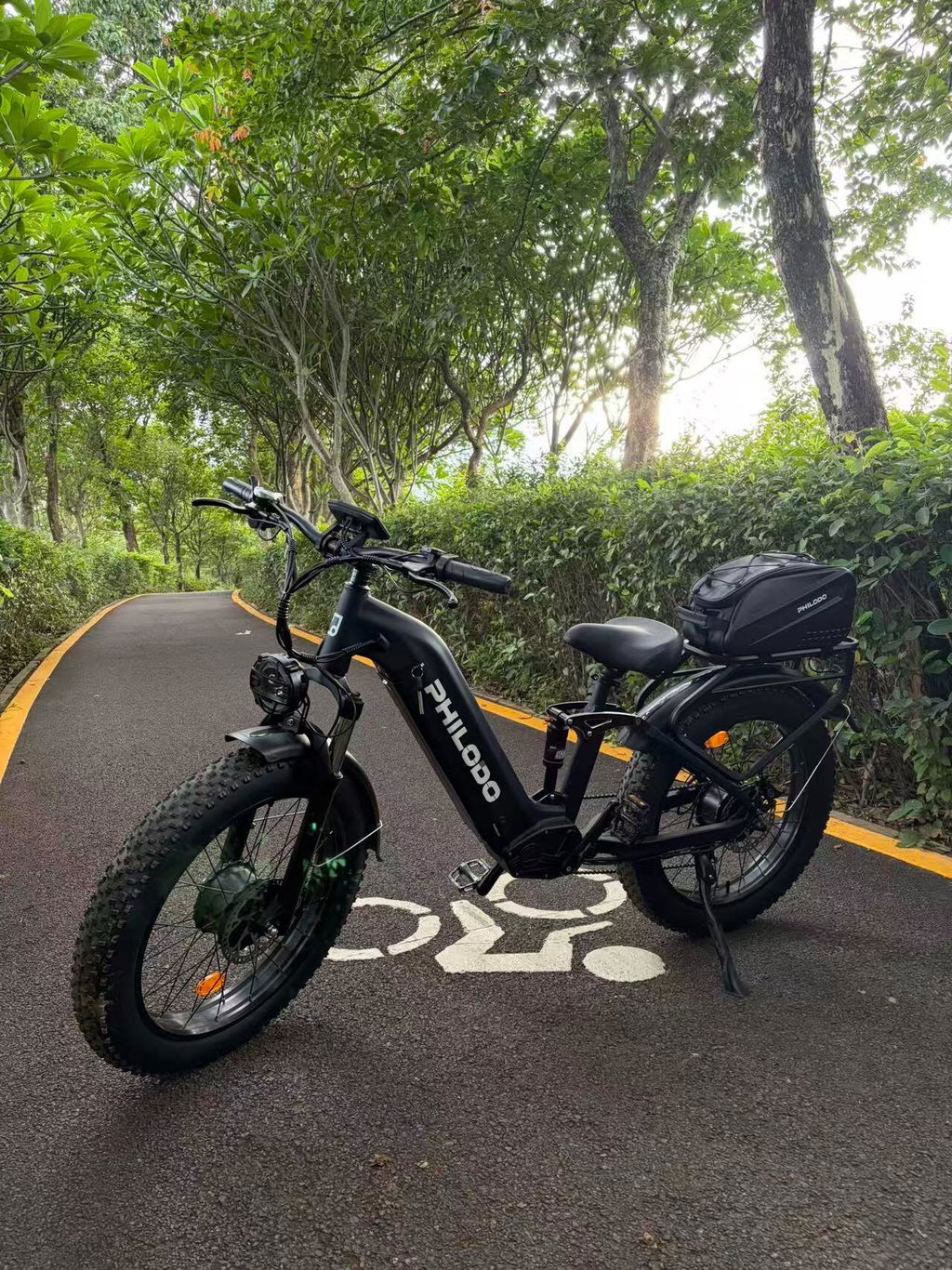 PHILODO FALCON Camo 60V Dual Motor Electric Bike