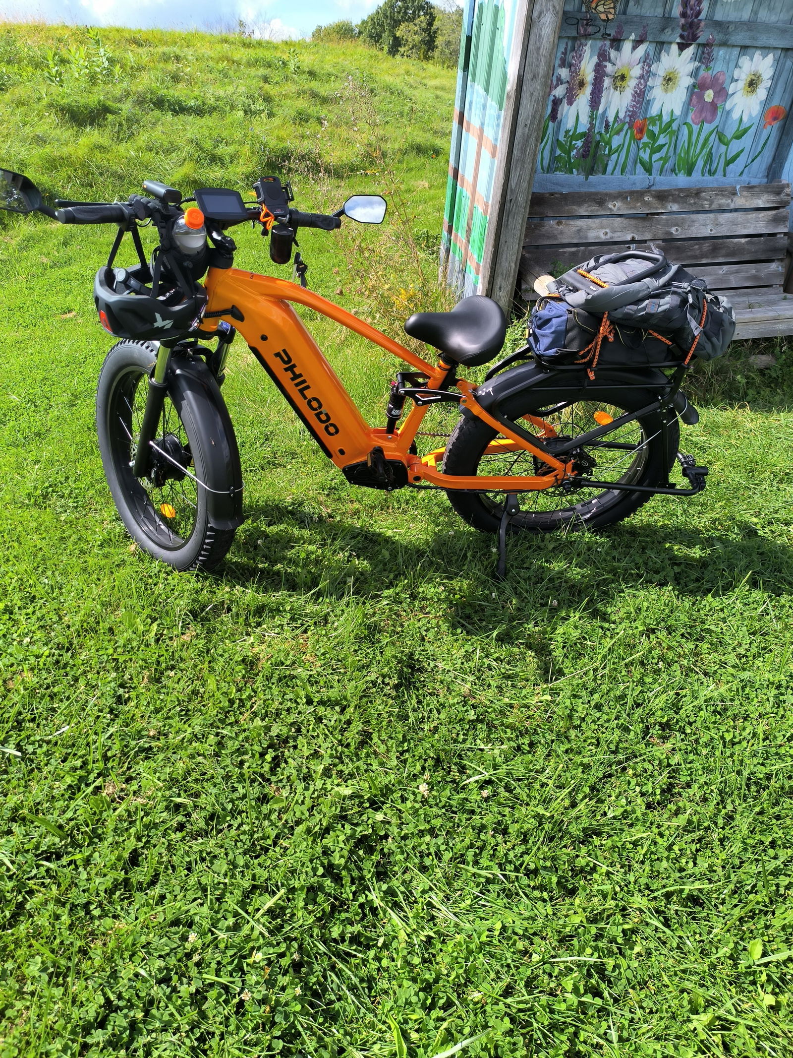 PHILODO FALCON Step-Over 60V Dual Motor Electric Bike – PHILODO BIKES