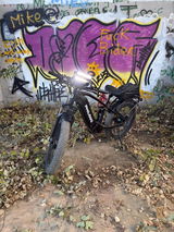 Will Caffey review photo