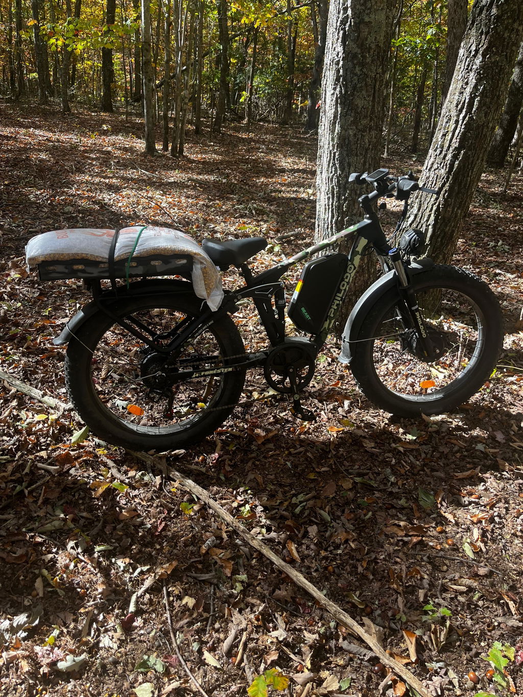 PHILODO Forester 60V Dual Motor Electric Bike Full Suspension