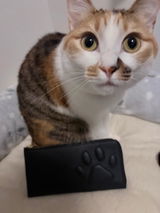 かみゅ review photo