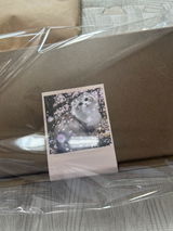 みゃみゃ review photo