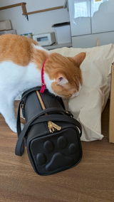 たおにゃん review photo