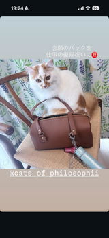 かみゅ review photo