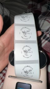 Dez review photo
