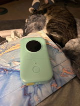 Flamingoboss review photo