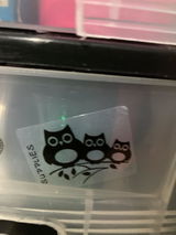 Anonymous review photo