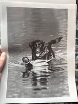 Anonymous review photo