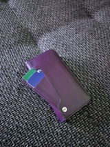 Emiliyan Davidov review photo