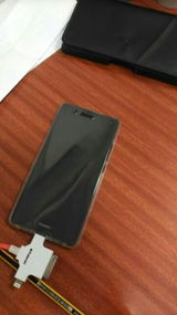 Haseeb U. review photo