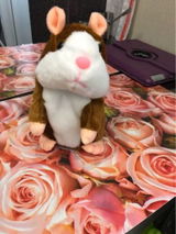Asma A. review photo