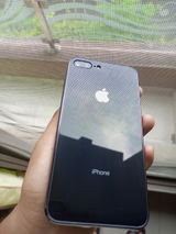 f.a. review photo