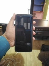Z.I. review photo