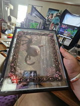 Cianna Gude review photo