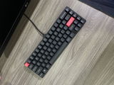 khang Tran review photo