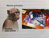 N. review photo