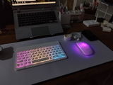 dxtr_ review photo