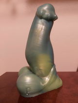 D.F. review photo