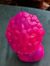 Z. review photo