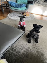 Anonymous review photo