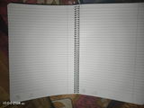 Amrit Anand Panigrahi review photo