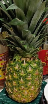匿名 review photo